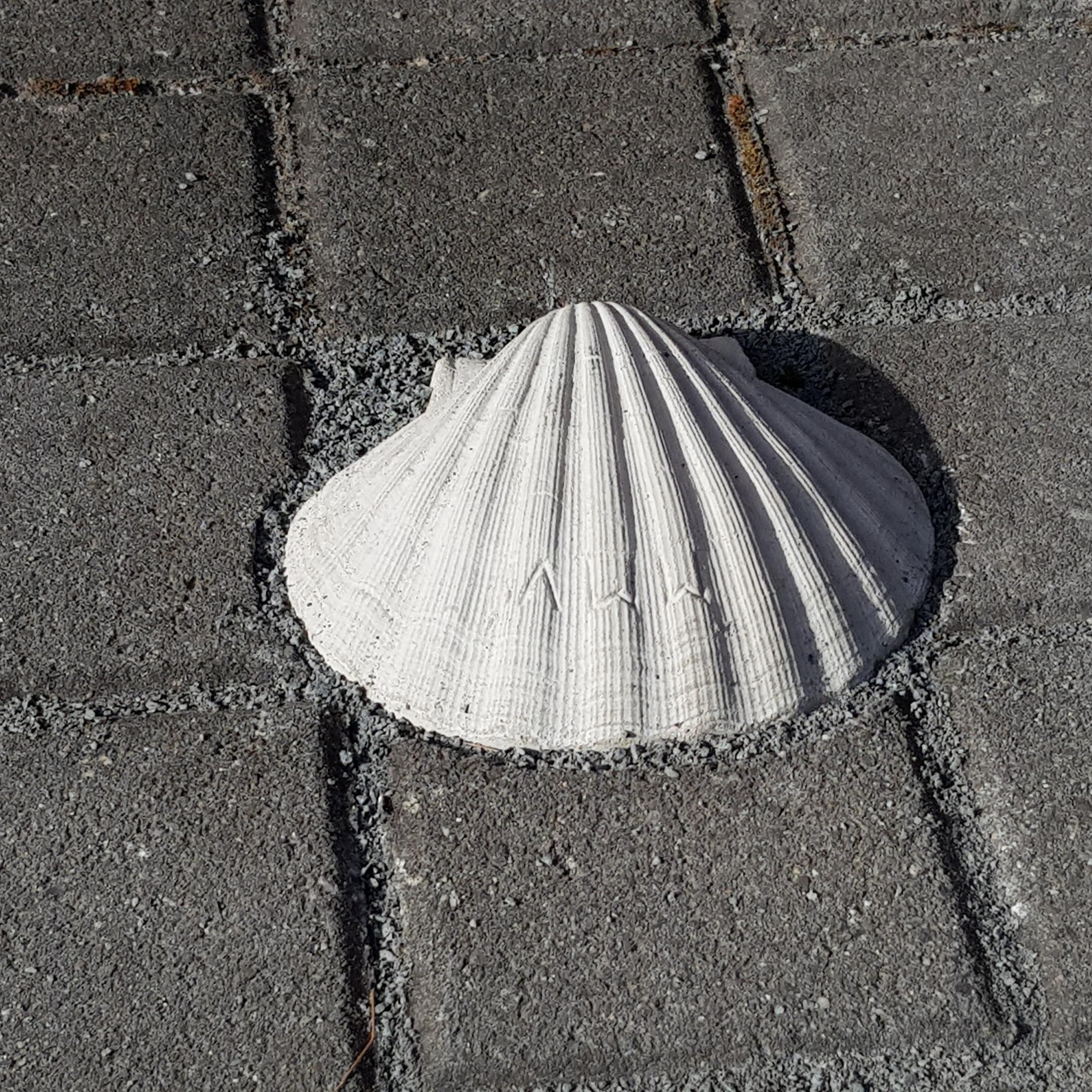 Jakobsmuschel an der Seite der Kirche (c) k-h. Jakobsmuschel an der Seite der Kirche